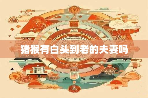 猪猴有白头到老的夫妻吗