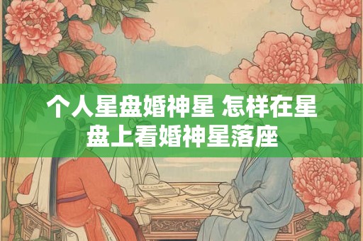 个人星盘婚神星 怎样在星盘上看婚神星落座