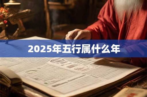 2025年五行属什么年