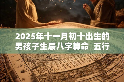 2025年十一月初十出生的男孩子生辰八字算命  五行属性