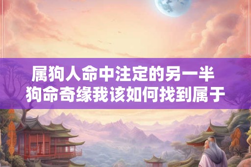 属狗人命中注定的另一半 狗命奇缘我该如何找到属于我的伴侣