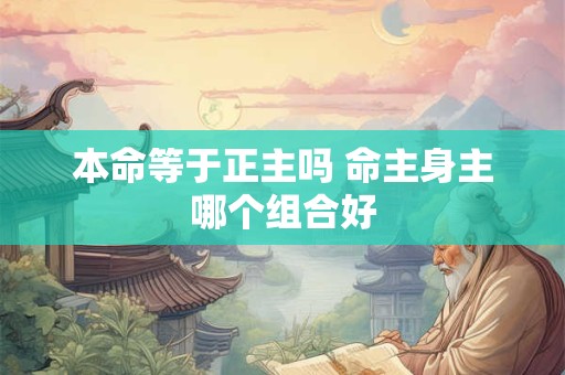 本命等于正主吗 命主身主哪个组合好