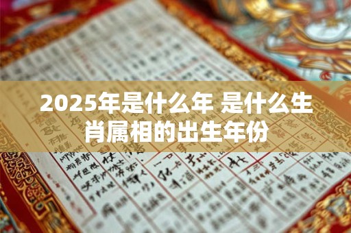 2025年是什么年 是什么生肖属相的出生年份