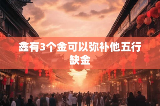鑫有3个金可以弥补他五行缺金