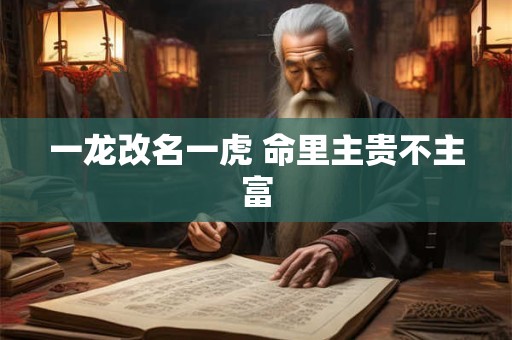 一龙改名一虎 命里主贵不主富