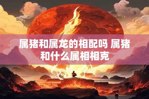 属猪和属龙的相配吗 属猪和什么属相相克