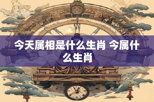 今天属相是什么生肖 今属什么生肖