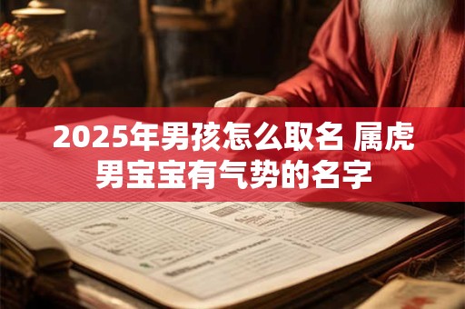 2025年男孩怎么取名 属虎男宝宝有气势的名字