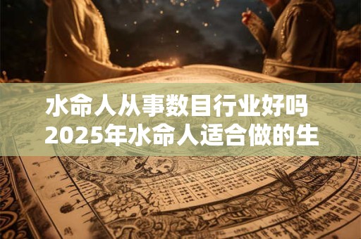 水命人从事数目行业好吗 2026年水命人适合做的生意有哪些