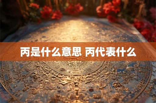 丙是什么意思 丙代表什么