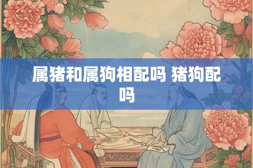 属猪和属狗相配吗 猪狗配吗