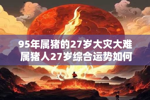 95年属猪的27岁大灾大难 属猪人27岁综合运势如何