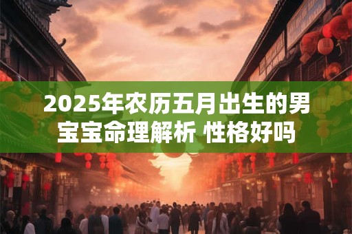 2025年农历五月出生的男宝宝命理解析 性格好吗
