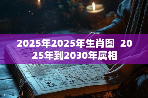 2025年2025年生肖图  2025年到2030年属相