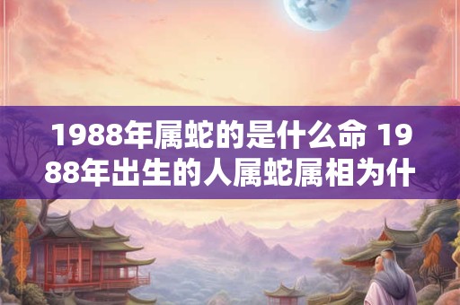 1988年属蛇的是什么命 1988年出生的人属蛇属相为什么