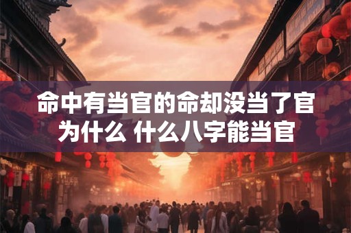 命中有当官的命却没当了官为什么 什么八字能当官