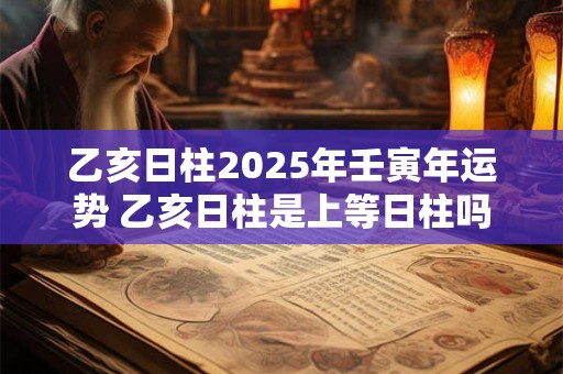 乙亥日柱2025年壬寅年运势 乙亥日柱是上等日柱吗