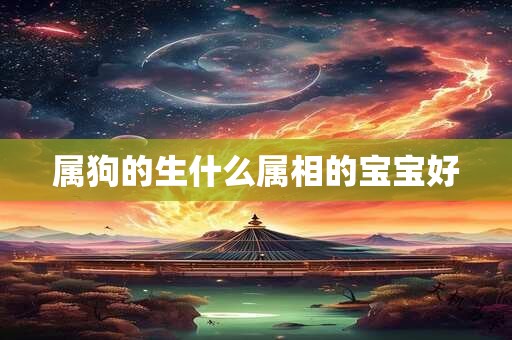 属狗的生什么属相的宝宝好