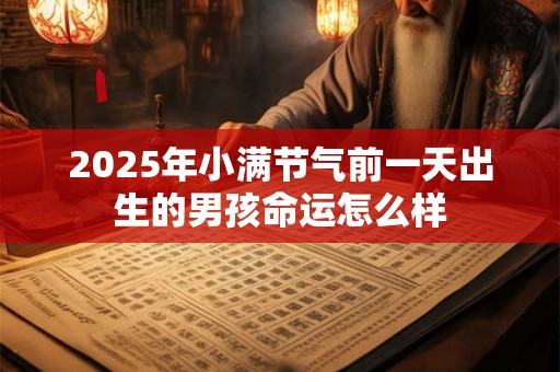 2025年小满节气前一天出生的男孩命运怎么样