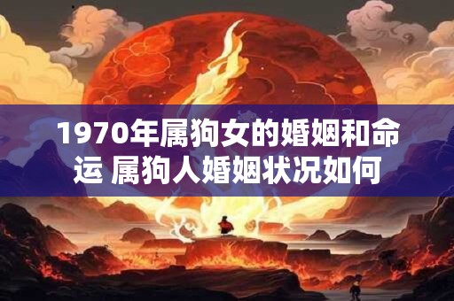 1970年属狗女的婚姻和命运 属狗人婚姻状况如何