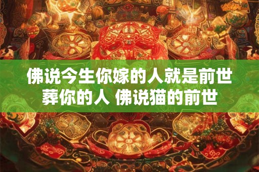 佛说今生你嫁的人就是前世葬你的人 佛说猫的前世