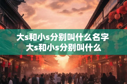 大s和小s分别叫什么名字 大s和小s分别叫什么