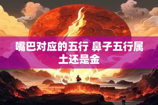 嘴巴对应的五行 鼻子五行属土还是金