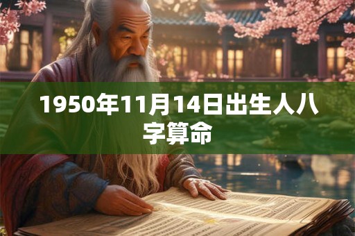 1950年11月14日出生人八字算命