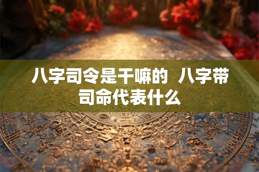 八字司令是干嘛的  八字带司命代表什么