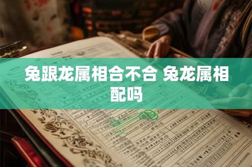兔跟龙属相合不合 兔龙属相配吗