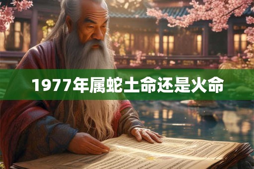 1977年属蛇土命还是火命