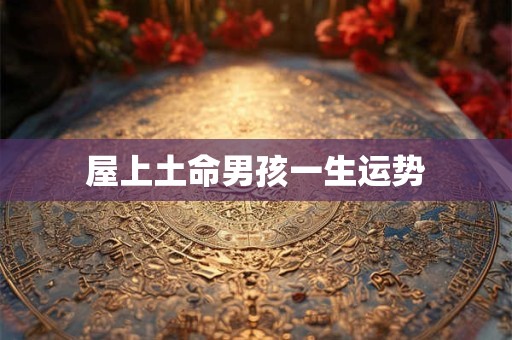 屋上土命男孩一生运势