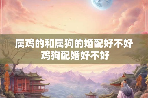 属鸡的和属狗的婚配好不好 鸡狗配婚好不好