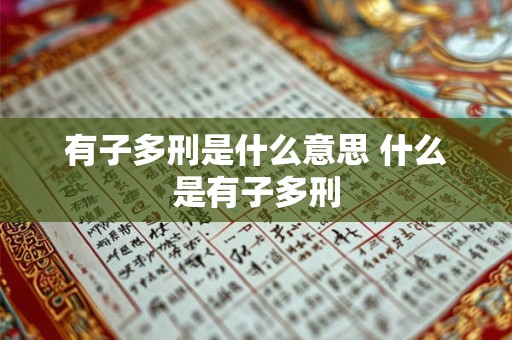 有子多刑是什么意思 什么是有子多刑