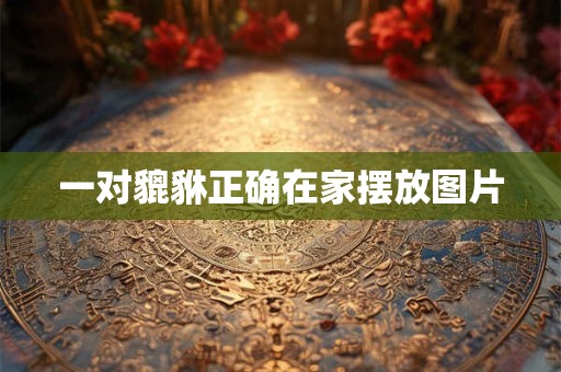 一对貔貅正确在家摆放图片