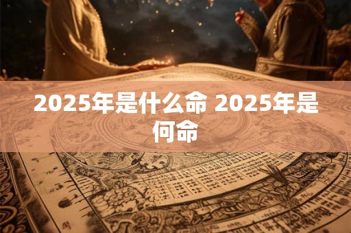 2025年是什么命 2025年是何命