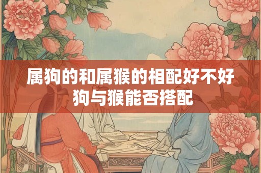 属狗的和属猴的相配好不好 狗与猴能否搭配