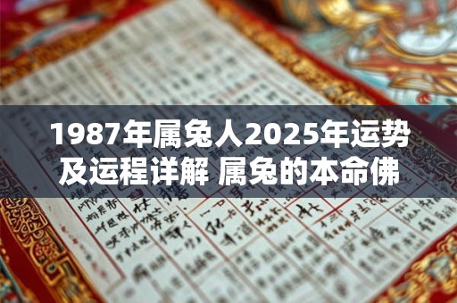 1987年属兔人2026年运势及运程详解 属兔的本命佛是什么