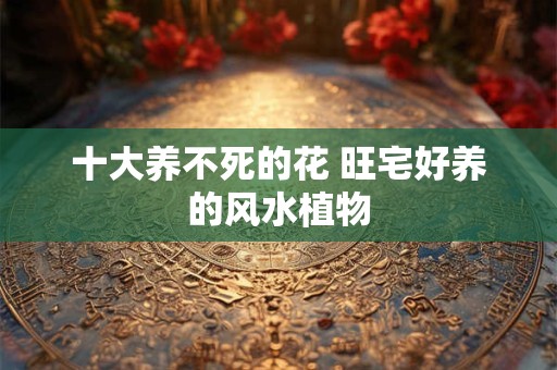 十大养不死的花 旺宅好养的风水植物