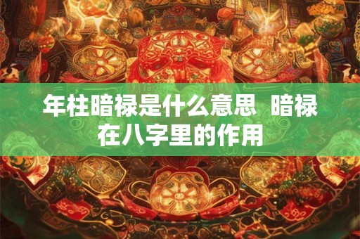 年柱暗禄是什么意思  暗禄在八字里的作用