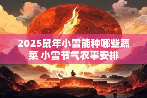 2025鼠年小雪能种哪些蔬菜 小雪节气农事安排