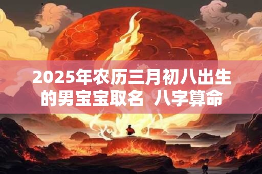 2025年农历三月初八出生的男宝宝取名  八字算命
