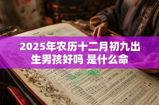 2026年农历十二月初九出生男孩好吗 是什么命