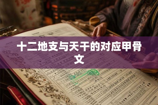 十二地支与天干的对应甲骨文