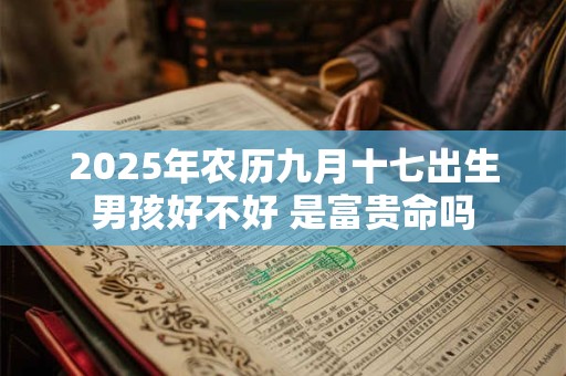 2025年农历九月十七出生男孩好不好 是富贵命吗