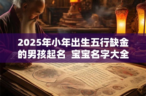 2025年小年出生五行缺金的男孩起名  宝宝名字大全免费