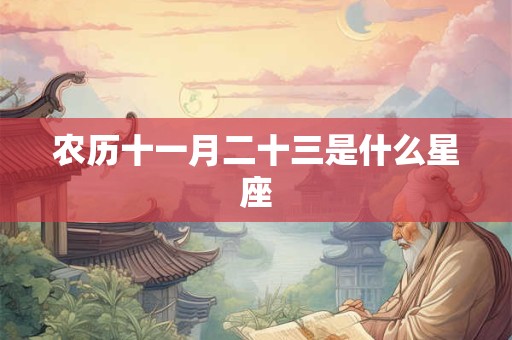 农历十一月二十三是什么星座