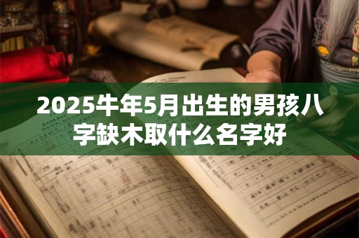 2025牛年5月出生的男孩八字缺木取什么名字好