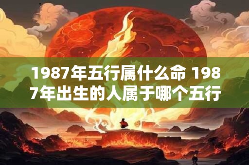 1987年五行属什么命 1987年出生的人属于哪个五行命