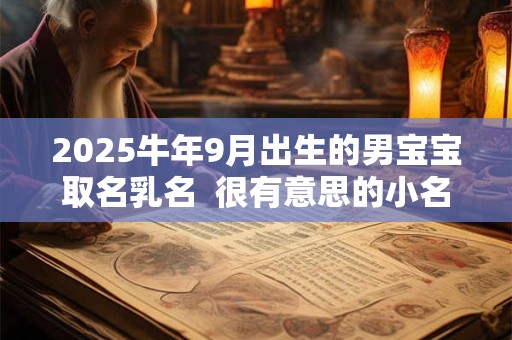 2025牛年9月出生的男宝宝取名乳名  很有意思的小名